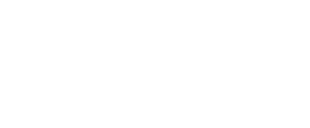 Dss-Footer-logo